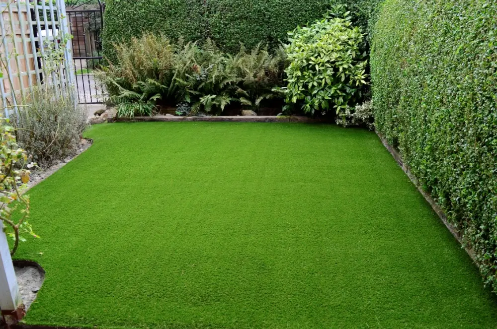 Lawn with artificial grass.