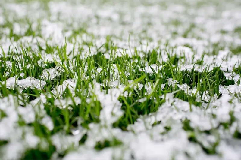 Grass covered in light snow.