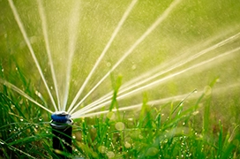 Water spraying in multiple streams from a sprinkler head in the grass.