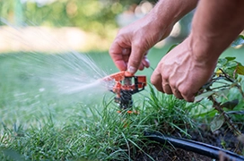 Hands adjusting a sprinkler head as it sprays water on grass.