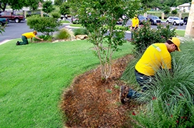 The Grounds Guys service professionals tending to a mulch bed and lawn.