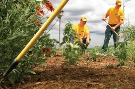 Two Grounds Guys service professionals cleaning up a mulch bed.