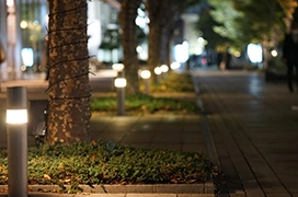 A path outside an office building at night, lit by column lights and framed by trees and plants.