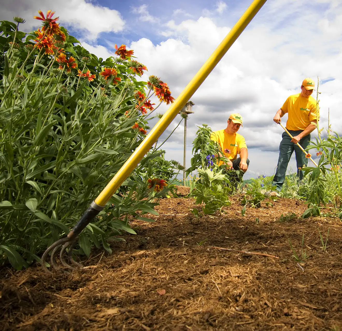 The Grounds Guys service professionals cleaning up a mulch bed.