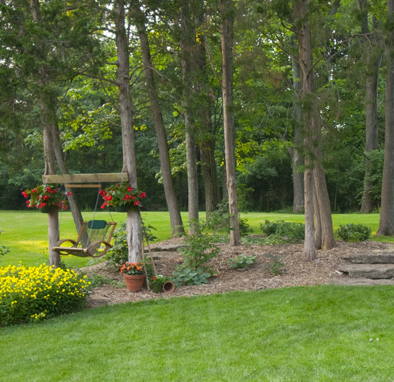 A mulch bed with trees, plants, yellow flowers, and a wooden swing in a large backyard.