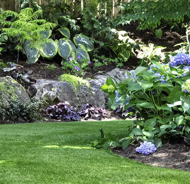 A lush backyard flower bed with a variety of plants.