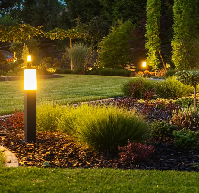 LED lighting illuminating backyard garden.