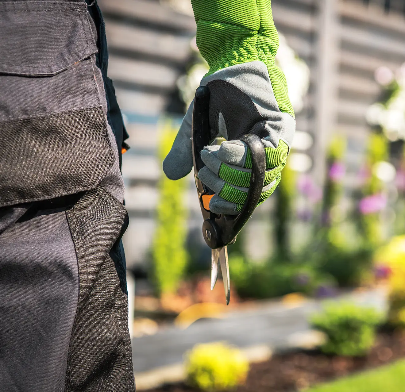 A gloved hand holding a pair of gardening scissors with shrubs in the background.