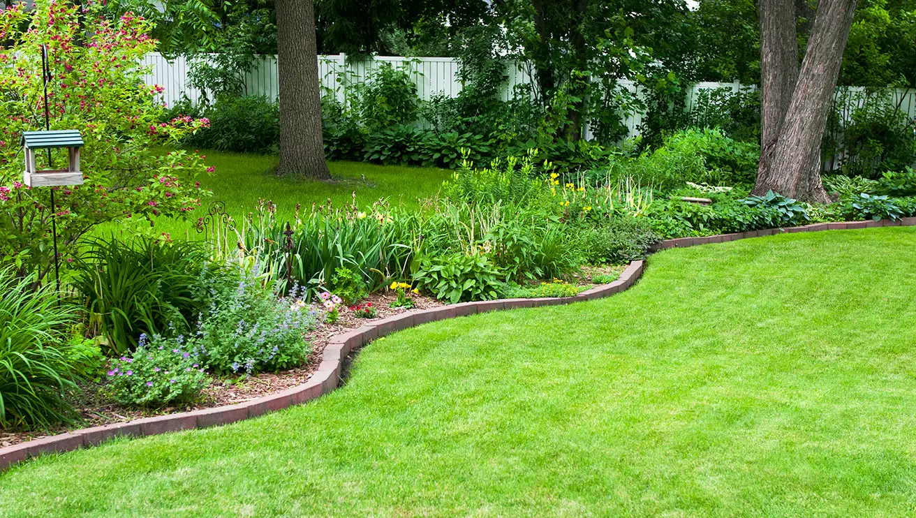 A backyard with vibrant green lawn, brick-lined flower bed, and hummingbird feeder.