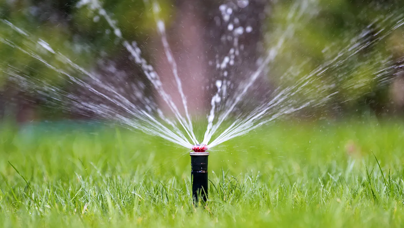 A garden sprinkler spraying water on a lush green lawn.