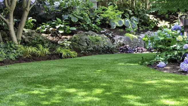 A lush backyard lawn framed by plant beds and trees.