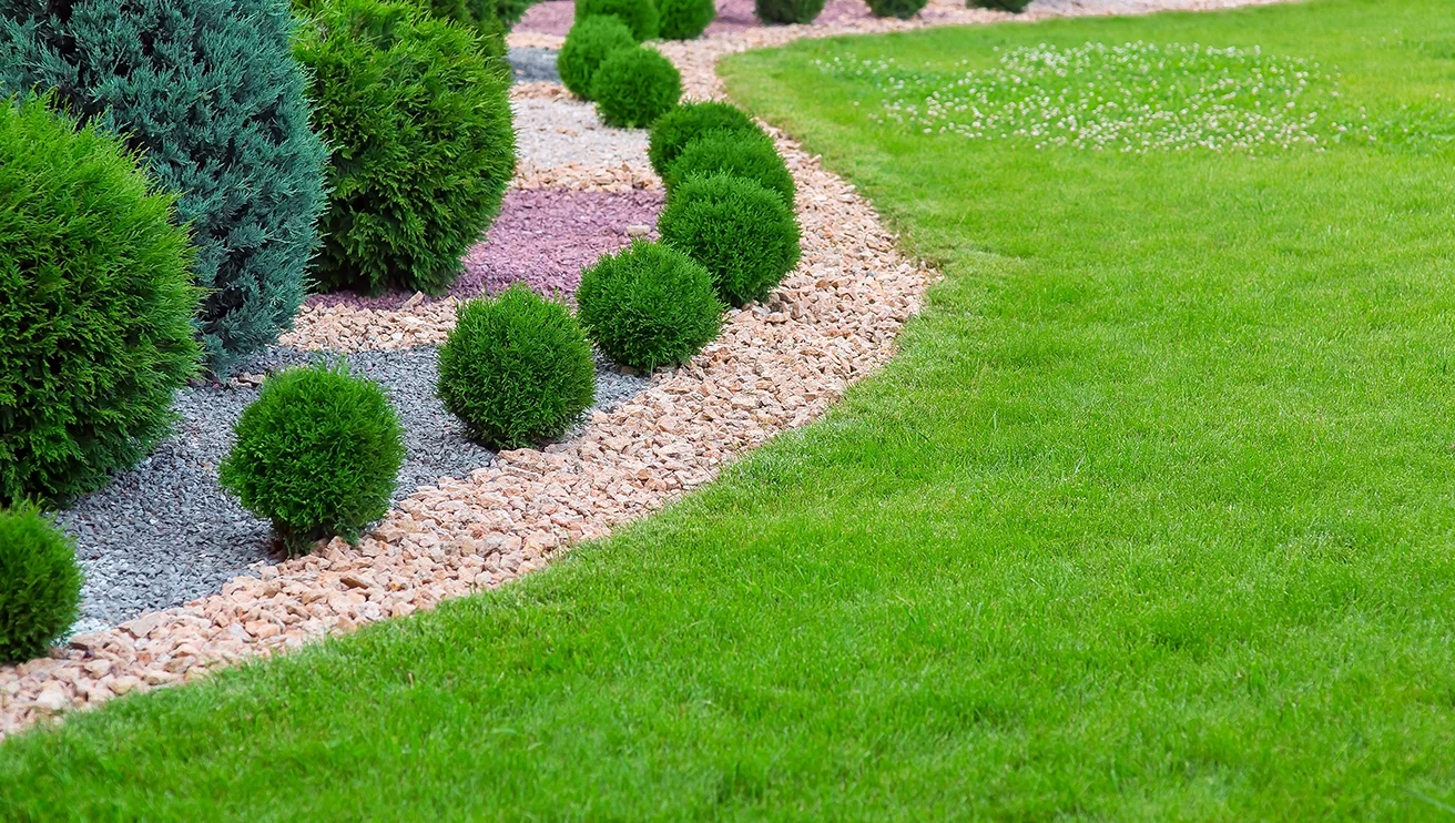 Landscape bed of garden.