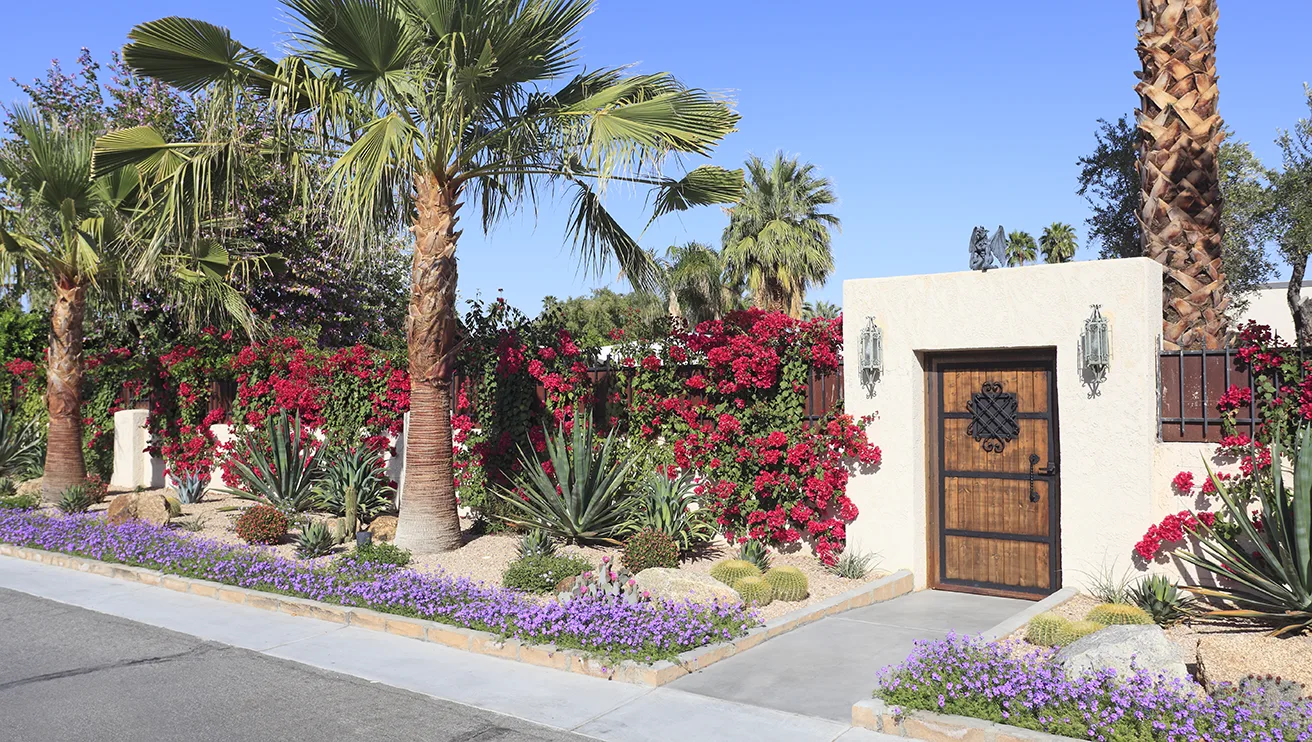 A beautiful path filled with trees, cacti and flowers.