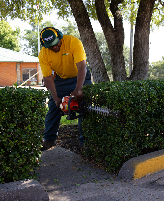 The Grounds Guys service professional using an electric hedge trimmer to trim a bush.