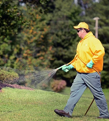 The Grounds Guys service professional spraying water onto a lawn.