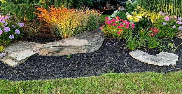 A colorful garden with well-defined flower-bed edge.