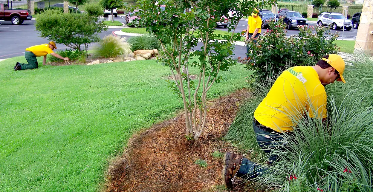 Three Grounds Guys service professionals tending to mulch beds on a property.