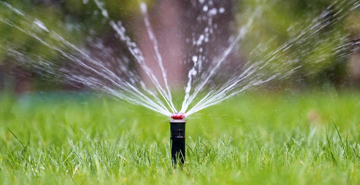 A sprinkler head spraying water on a vibrant green lawn.