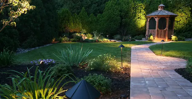 Landscape lighting a path and yard at night.