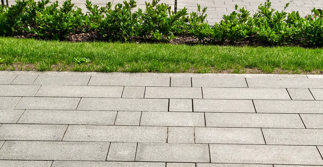 Modern paved path with green grass and plants.