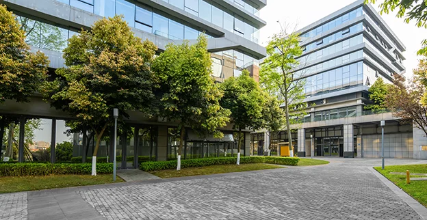 A line of trees outside an office building complex.