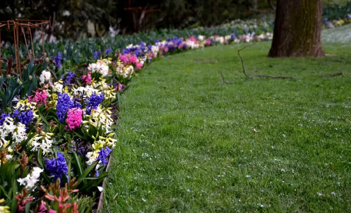 Flower bed with metal edging