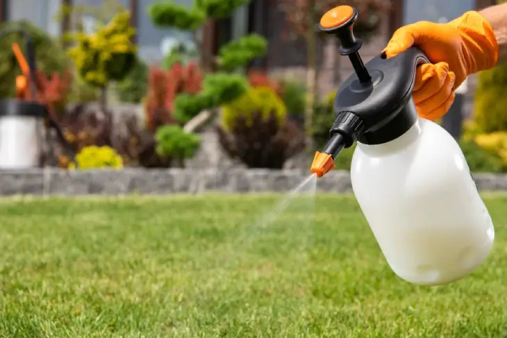 Spraying Pesticide Treatment