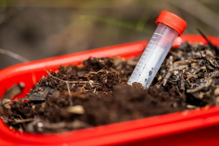 Testing tube in a bucket of soil.