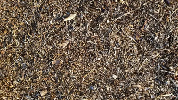 Aged bark mulch