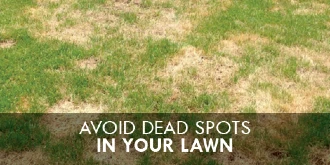 Lawn with text: 