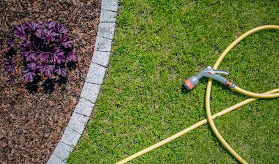 garden hose on a lawn