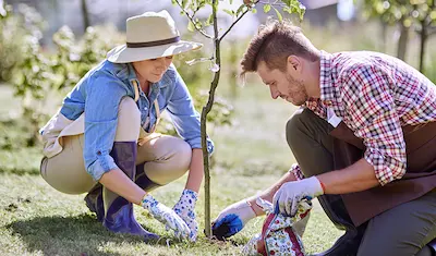 couple planting a tree