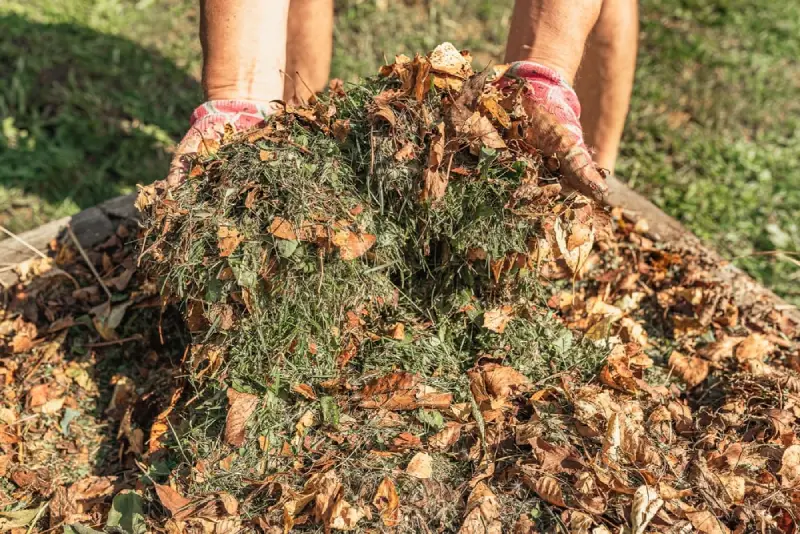 Landscaper holding leaves for mulch