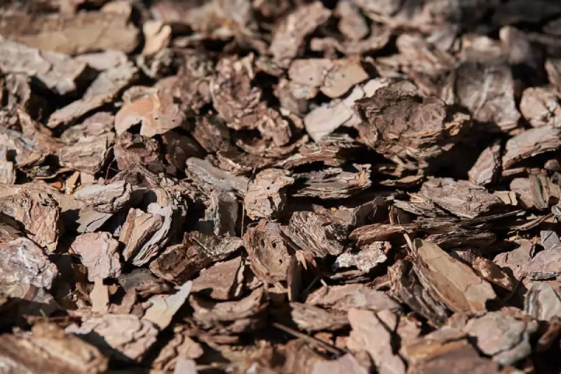 Pine bark mulch