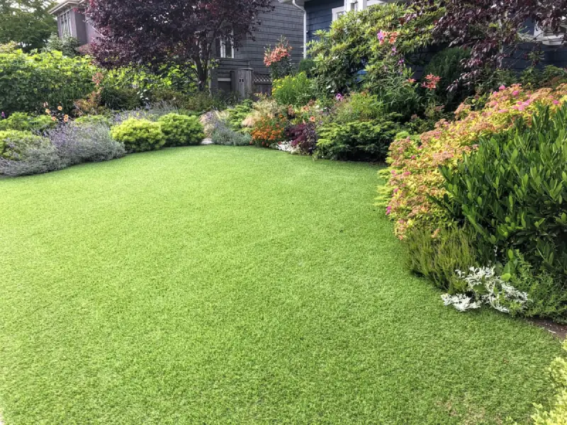 Artificial turf in residential yard