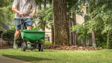 Man seeding and fertilizing residential backyard lawn with manual grass seed spreader.