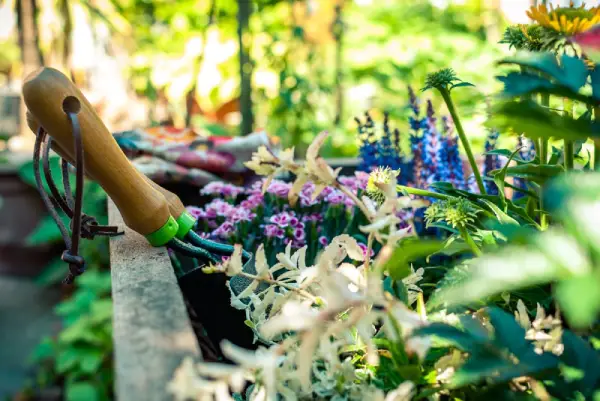 Gardening tools in a flower bed