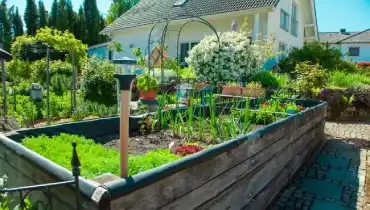 Raised garden bed in front yard of home.