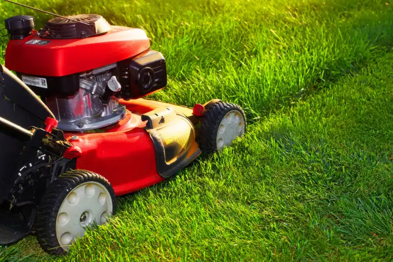 Red lawn mower cutting grass.