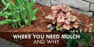 Garden and mulch with text: 