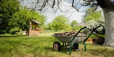 full wheelbarrow in yard by tree