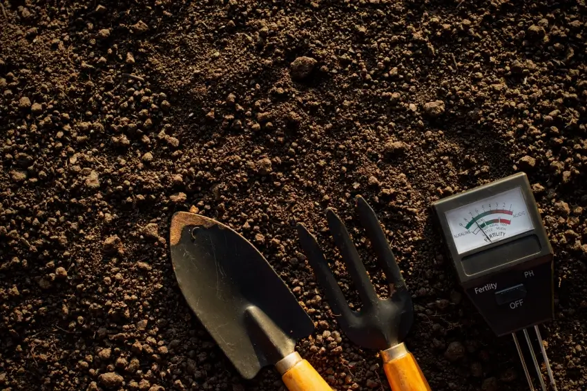 Soil testing supplies on top of soil.