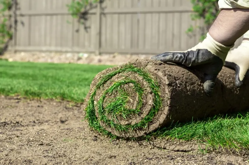 Landscaper removing old sod.