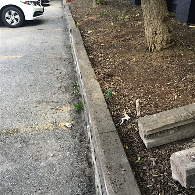 A car parking area with stone pavement as the border.