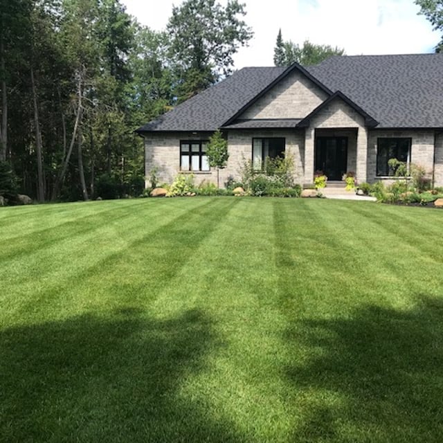 A well-maintained lawn