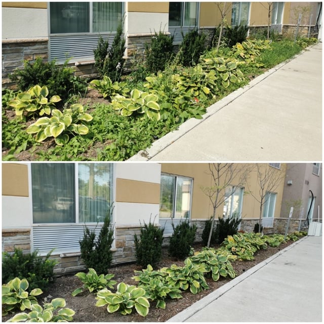 Before and after image of garden landscaping