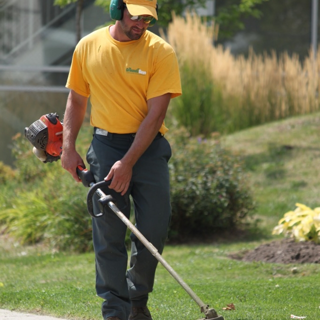 Cleaning the greenfield