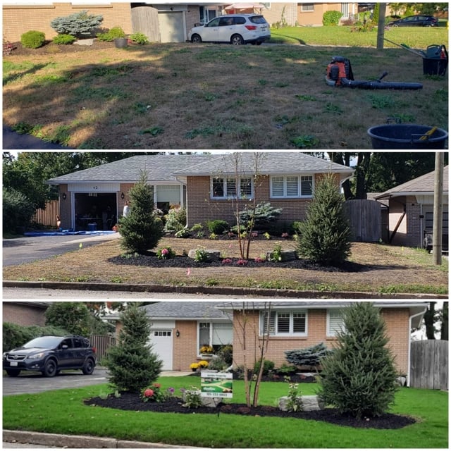 Before and after image of garden and landscaping.