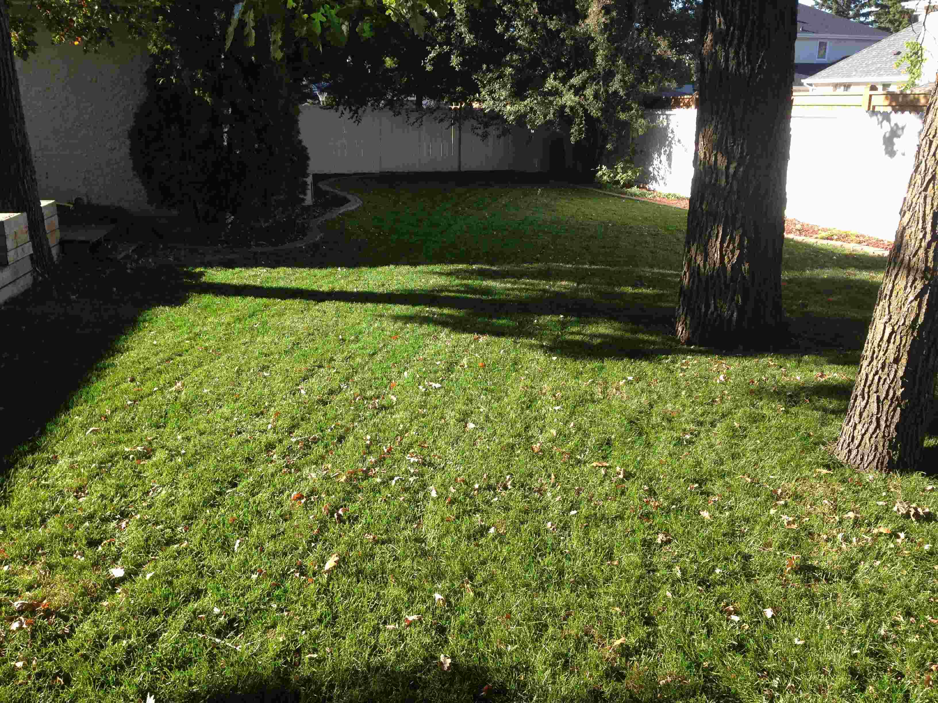 General Lawn