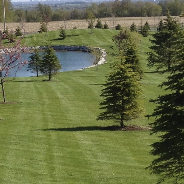 Green field with Pond